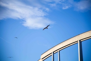 Барселона: предложение руки и сердца на парусной яхте