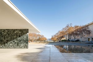 バルセロナ：ミース ファン デル ローエ パビリオン チケットと音声ガイド