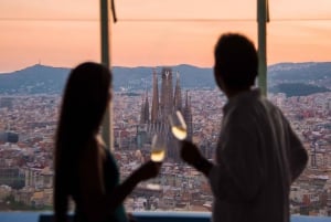 Barcelona: Mirador torre Glòries Skip-the-Line Ticket