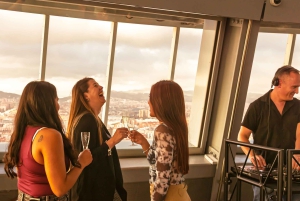 Barcelona: Mirador torre Glòries Skip-the-Line Ticket