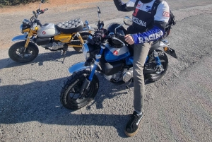 Barcelona: Tour mit dem Monkey Bike nach Montserrat