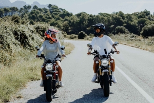 Barcelona: Tour mit dem Monkey Bike nach Montserrat