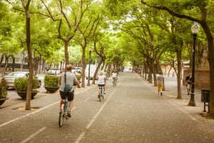 Barcelona Montjuic Three-Hour Bike Tour