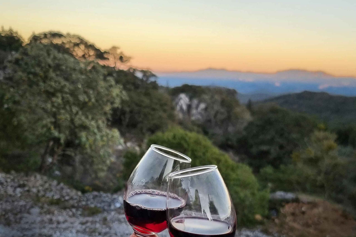 Barcelona: tour por Montjuïc con una copa de vino