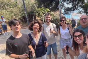 Barcelona: tour por Montjuïc con una copa de vino