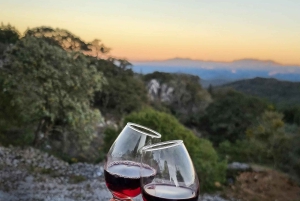 Barcelona: tour por Montjuïc con una copa de vino