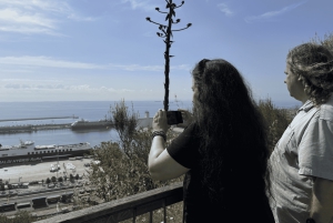 Barcelona: tour por Montjuïc con una copa de vino