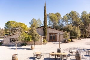 Barcelona: Dagtrip Montserrat met lunch en wijnproeverij