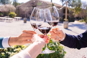 Barcellona: Escursione di Montserrat con pranzo e degustazione di vini