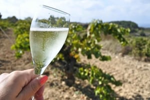 From Barcelona: Montserrat Lunch & Wine Tasting in Vineyard