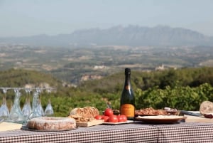 From Barcelona: Montserrat Lunch & Wine Tasting in Vineyard