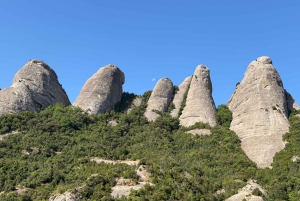 Barcelona: Aftentur til Montserrat, vandring og klostret