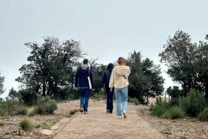 Barcelona: Półprywatna wycieczka z przewodnikiem po Montserrat minivanem