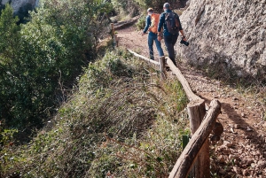 Barcellona: tour guidato del monastero e del parco naturale di Montserrat