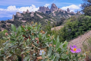 Barcellona: tour guidato del monastero e del parco naturale di Montserrat