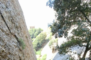 Barcellona: tour guidato del monastero e del parco naturale di Montserrat