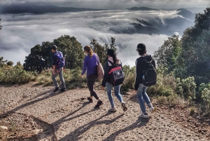 Barcelone : expérience nature à Montserrat et visite du monastère