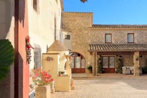 Barcelona: Montserrat&One More Thing-You Choose(Small Group)