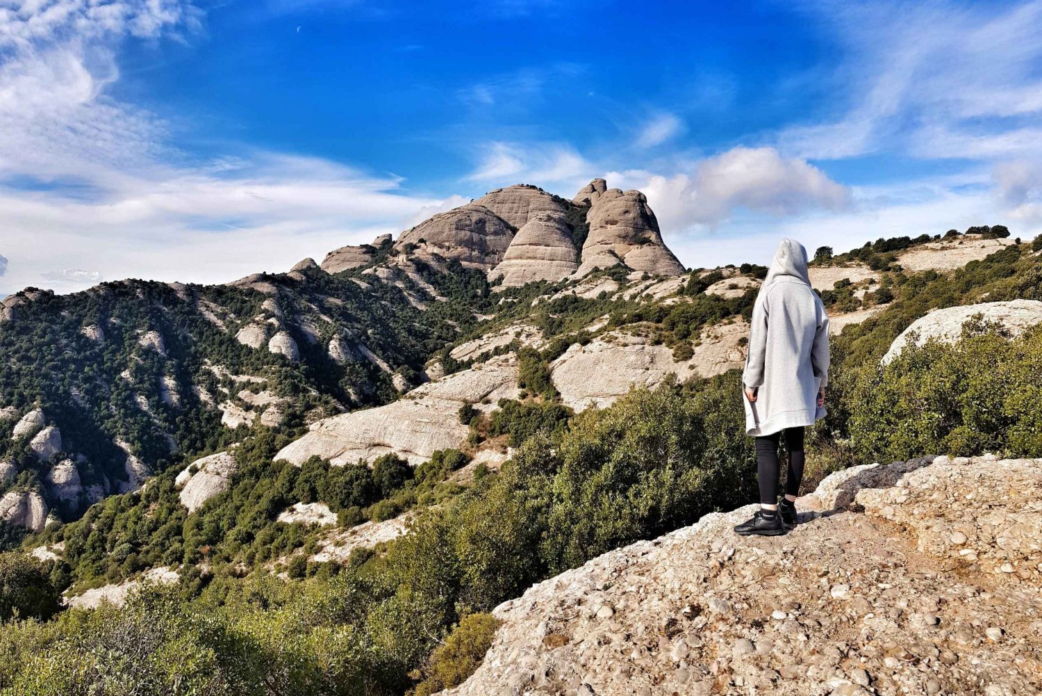 Barcelona: tour privado de Montserrat para familias y amigos