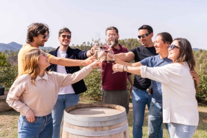 Barcelone : Montserrat, visite d'un vignoble et déjeuner avec dégustation de vin