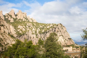 Barcelone : Montserrat, visite d'un vignoble et déjeuner avec dégustation de vin