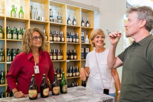 Barcelone : Montserrat, visite d'un vignoble et déjeuner avec dégustation de vin