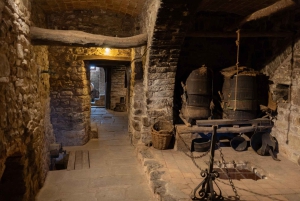 Barcelone : Montserrat, visite d'un vignoble et déjeuner avec dégustation de vin