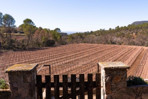 Barcelone : Montserrat, visite d'un vignoble et déjeuner avec dégustation de vin