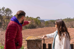 Barcelone : Montserrat, visite d'un vignoble et déjeuner avec dégustation de vin