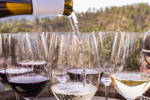 Barcelone : Montserrat, visite d'un vignoble et déjeuner avec dégustation de vin