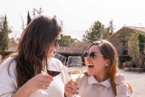 Barcelone : Montserrat, visite d'un vignoble et déjeuner avec dégustation de vin