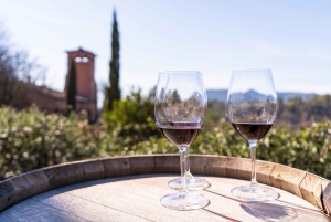 Barcelone : Montserrat, visite d'un vignoble et déjeuner avec dégustation de vin