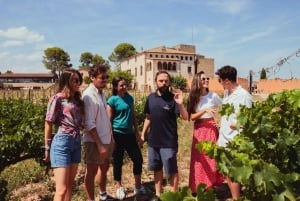 Barcellona: Montserrat con opzioni per cantine, pranzi e treni