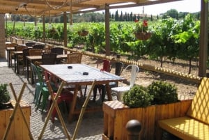 Barcelona: Montserrat com visita a uma vinícola e almoço em uma fazenda