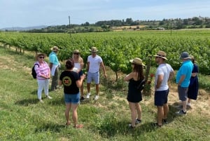 Barcelona: Montserrat with Winery Visit and Farmhouse Lunch