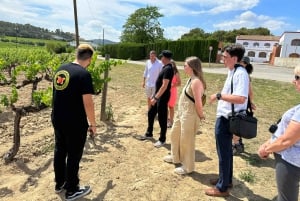 Barcelona: Montserrat with Winery Visit and Farmhouse Lunch