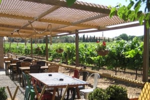 Barcelona: Montserrat with Winery Visit and Farmhouse Lunch