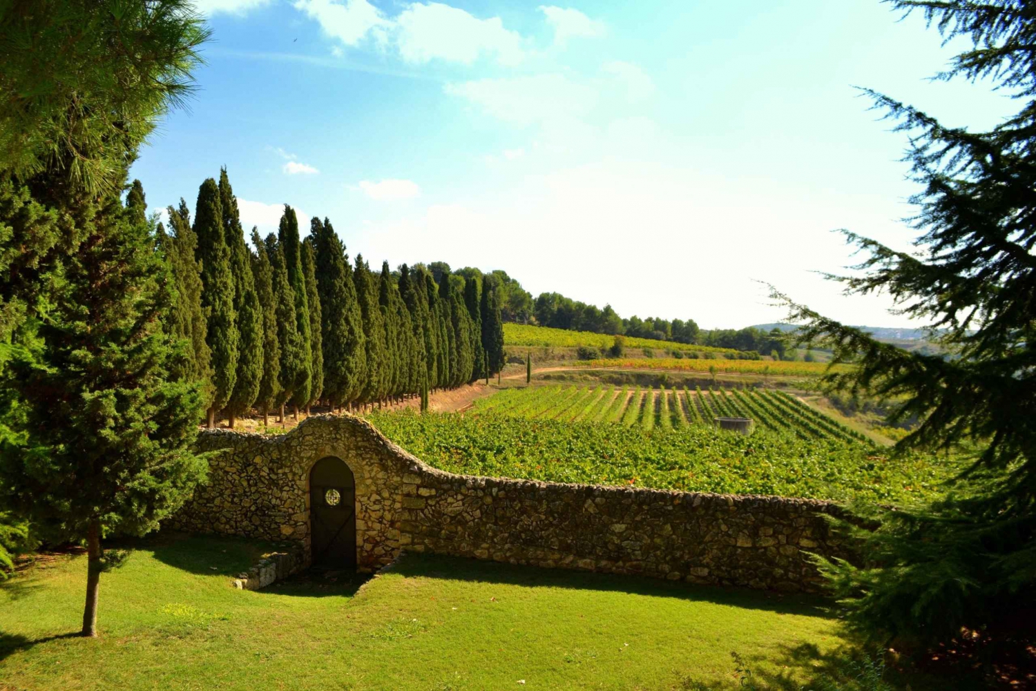 Barcelona: Montserrtat Hike and Winery Tour with Tasting