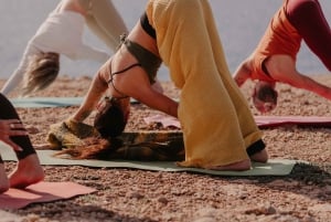 Entradas para discotecas de Barcelona: 2 x Pacha, Opium y más