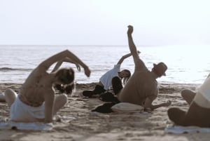 Entradas para discotecas de Barcelona: 2 x Pacha, Opium y más