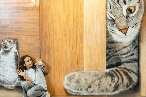 Барселона: входной билет в Музей иллюзий