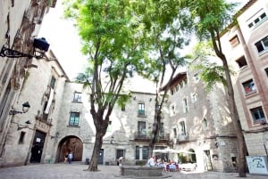 Barcelona: Wandeltour oude binnenstad en gotische wijk