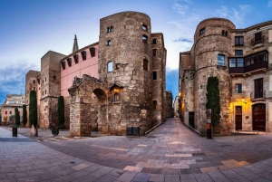 Barcelona: Old Town Private Tour with Hotel Pickup