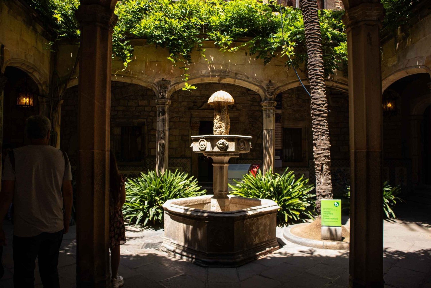 The Three Old Neighborhoods of Barcelona Tour