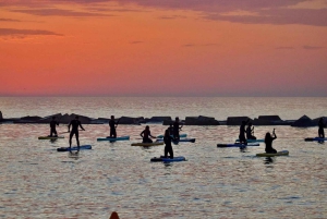 Barcelona: Paddleboard at sunrise. Inc.: teacher, photos/videos, material, equipment.