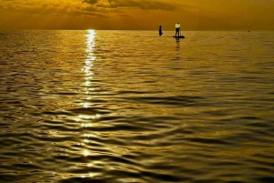 Barcelona: Paddleboard at sunrise. Inc.: teacher, photos/videos, material, equipment.
