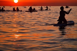 Barcelona: Paddleboard at sunrise. Inc.: teacher, photos/videos, material, equipment.