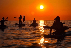 Barcelona: Paddleboard at sunrise. Inc.: teacher, photos/videos, material, equipment.