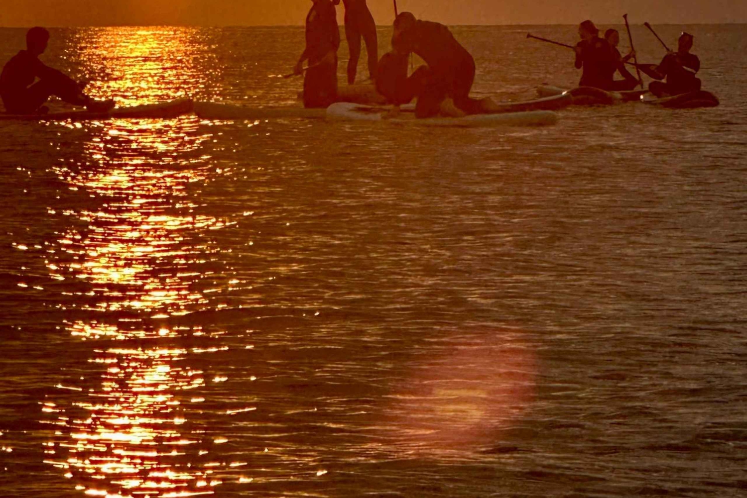 Barcelona: Paddleboard al Amanecer. Inc.: profesor, fotos, material