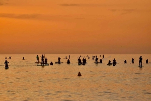 Barcelona: Paddleboard al Amanecer. Inc.: profesor, fotos, material